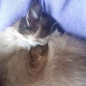 Meet your Posher, Jess